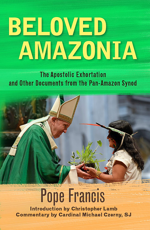 Beloved Amazonia: an online bookclub 